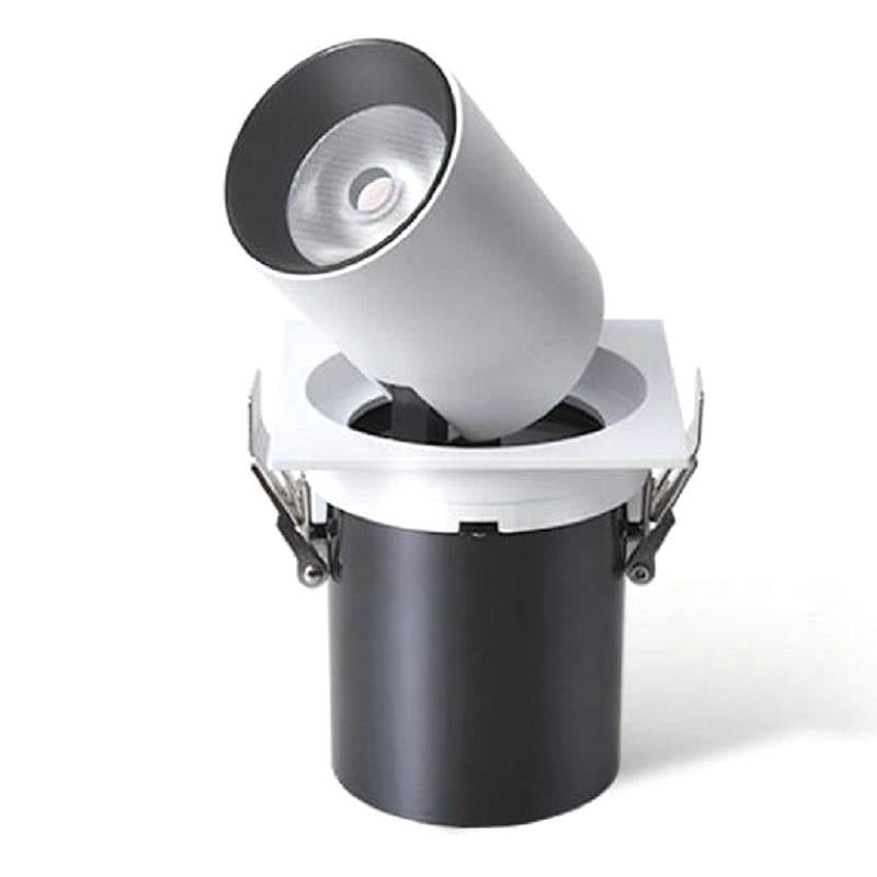 Telescopic 10W COB LED Ceiling lamps Down Light AC110V to AC240V Cool/Warm White LED Recessed Downlight Lamp