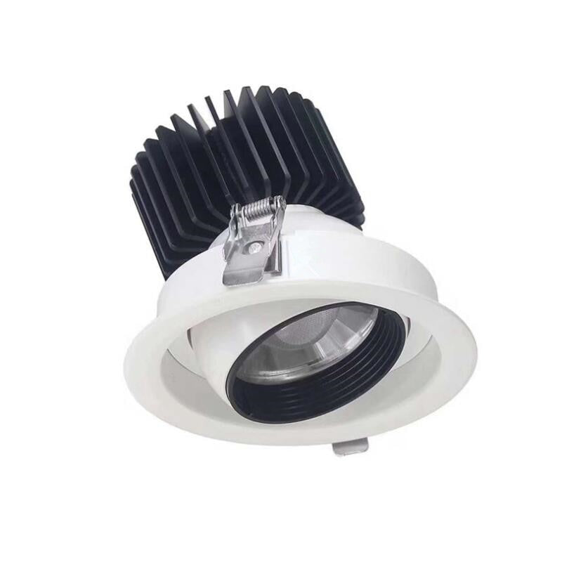 Dimmable AC85V-265V 10W 12W 15W 20W 30W LED Ceiling downlight LED lamp Recessed Spot light For home illumination