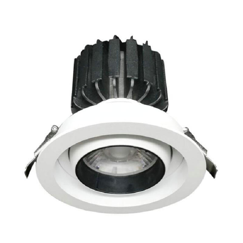 Dimmable LED downlight light Ceiling Spot Light 10w 12w 15w 20w AC110V-240V ceiling recessed Lights Indoor Lighting