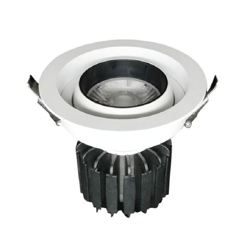 Dimmable LED downlight light Ceiling Spot Light 10w 12w 15w 20w AC110V-240V ceiling recessed Lights Indoor Lighting