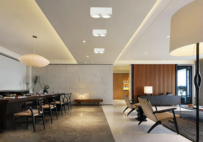 Double Square 1PCS LED Downlight 20W AC85V-265V LED Ceiling Lamps living room light Home Indoor Lighting