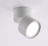 Surface Mounted LED Downlight 7W Light Source Replaceable LED Spot light Nordic Ceiling lamp for indoor Foyer,Living Room light