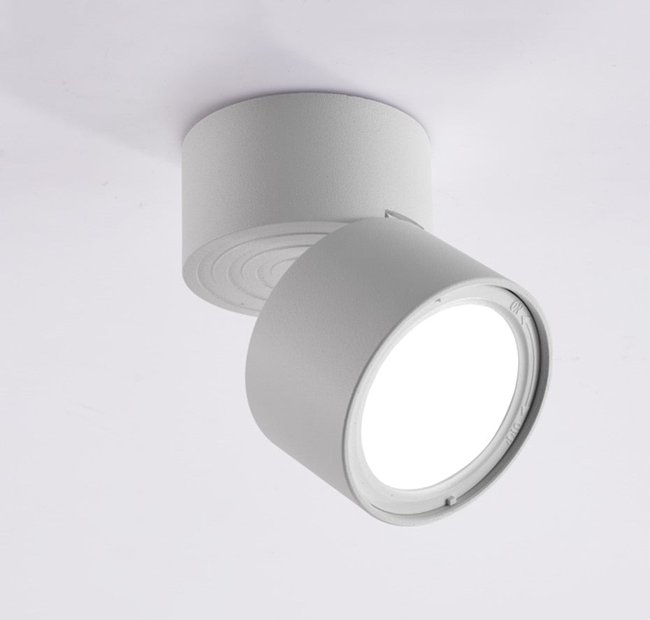 Surface Mounted LED Downlight 7W Light Source Replaceable LED Spot light Nordic Ceiling lamp for indoor Foyer,Living Room light