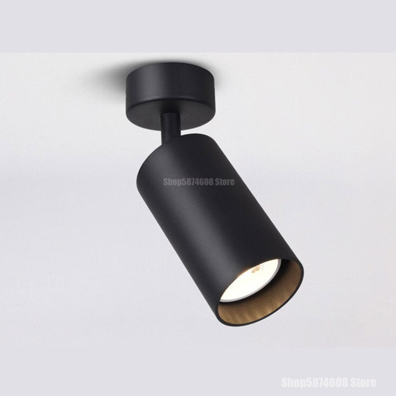 Modern Led Ceiling Light Surface Mounted Ceiling Downlight LED Spot Lighting Ceiling Lamp Living Room Kitchen Indoor Fixtures