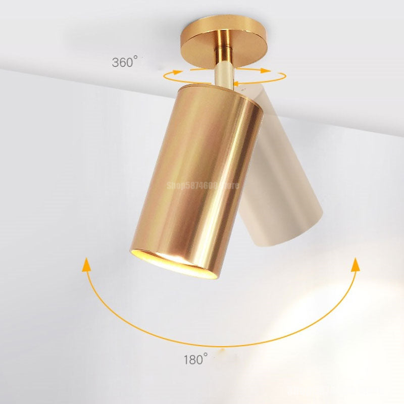 Modern Led Ceiling Light Surface Mounted Ceiling Downlight LED Spot Lighting Ceiling Lamp Living Room Kitchen Indoor Fixtures