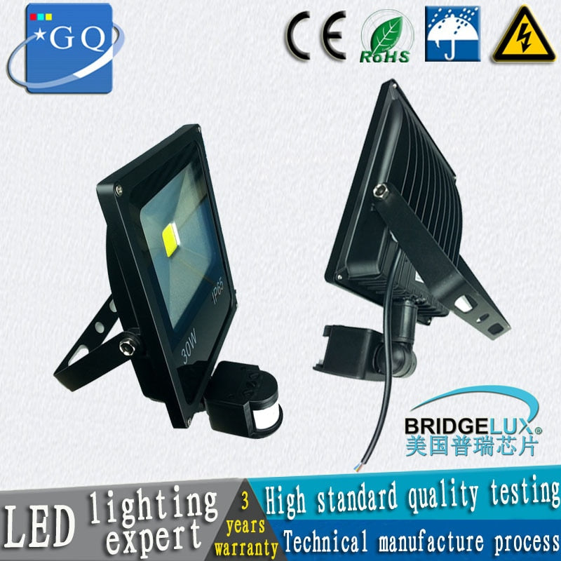 LED flood light 10W 20w 30w 50w 220V 110V PIR Motion sensor Induction Sense lampled downlights outdoor light