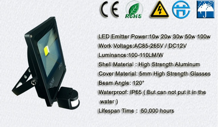 LED flood light 10W 20w 30w 50w 220V 110V PIR Motion sensor Induction Sense lampled downlights outdoor light