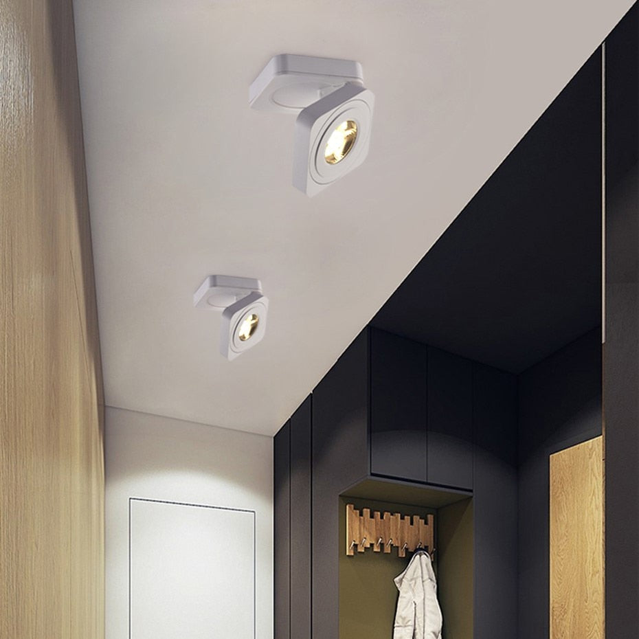 DBF 360 Angle Adjustable Square Surface Mounted Downlight Ceiling Lamp 5W 7W 10W LED COB Spot Light AC110/220V Ceiling Light