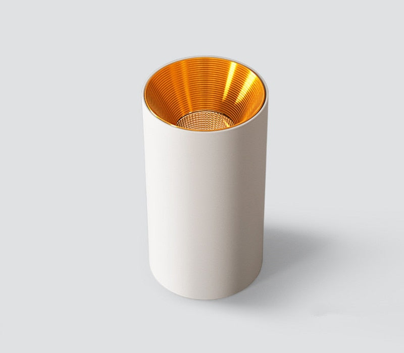 Surface Mounted Cylindrical LED COB Downlight Gold Reflector 7W 10W 12W 15W LED Ceiling Bulbs Lamp Spot Light LED Downlight