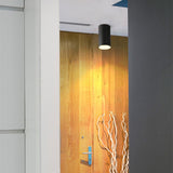 Surface Mounted Cylindrical LED COB Downlight Gold Reflector 7W 10W 12W 15W LED Ceiling Bulbs Lamp Spot Light LED Downlight