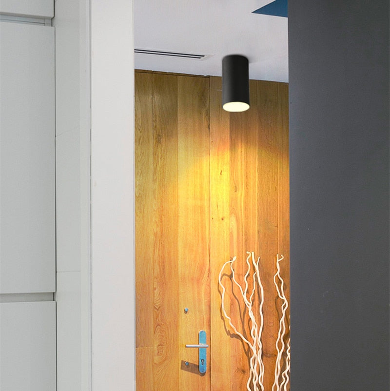 Surface Mounted Cylindrical LED COB Downlight Gold Reflector 7W 10W 12W 15W LED Ceiling Bulbs Lamp Spot Light LED Downlight