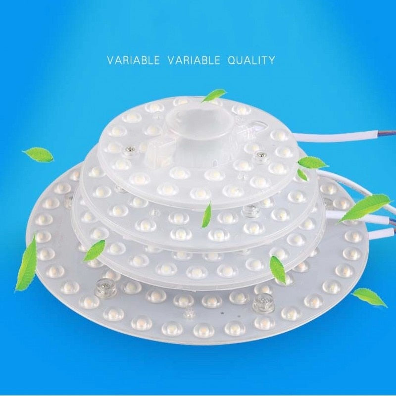 Ring Light SMD2835 12W 18W 24W 36W LED Round Ceiling decoration Ceiling Lamp AC 220V 230V 240V downlight