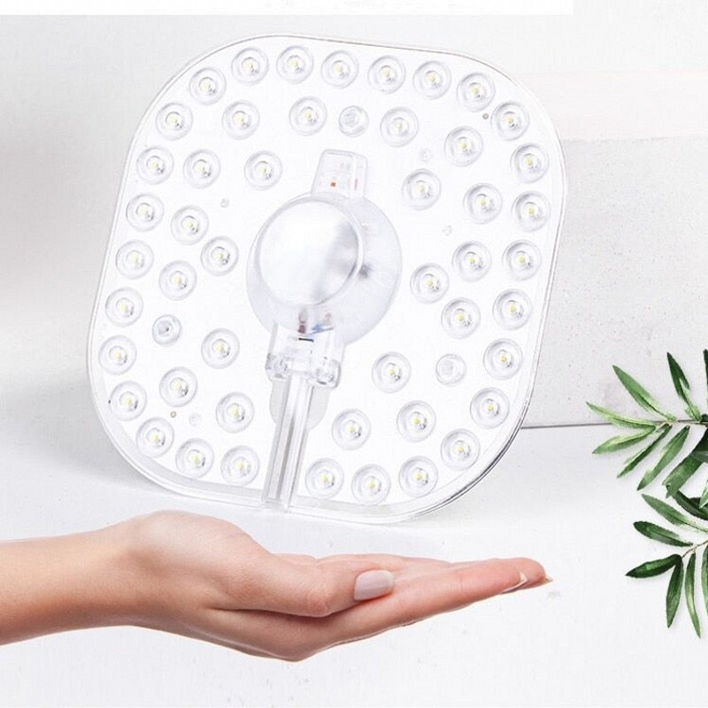 Ring Light SMD2835 12W 18W 24W 36W LED Round Ceiling decoration Ceiling Lamp AC 220V 230V 240V downlight