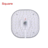 Ring Light SMD2835 12W 18W 24W 36W LED Round Ceiling decoration Ceiling Lamp AC 220V 230V 240V downlight