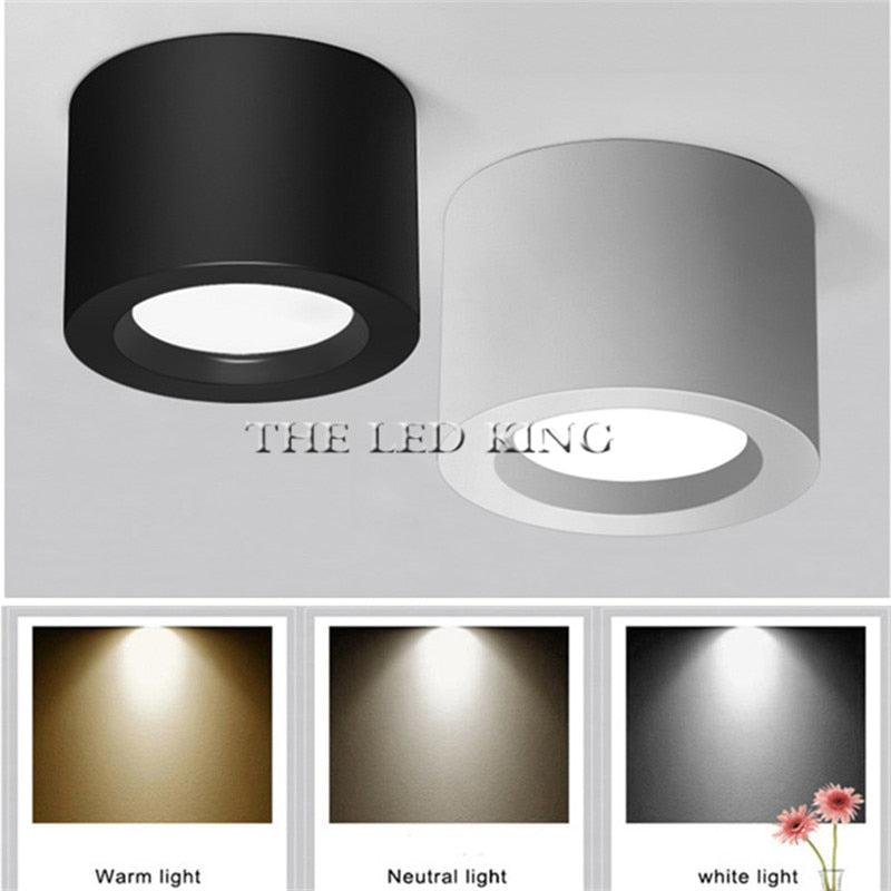 Surface Mounted LED Downlight 5W 7W 9W 12W 15W 18W 30W White/Black Housing Surface Mounted AC220V Ceiling Spot Light Home Decor