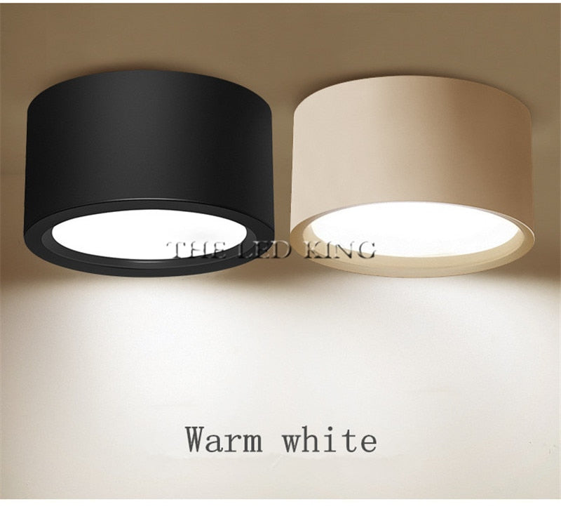 Surface Mounted LED Downlight 5W 7W 9W 12W 15W 18W 30W White/Black Housing Surface Mounted AC220V Ceiling Spot Light Home Decor