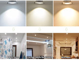 Dimmable LED Downlight 3W 4W 5W Spot LED AC110V 220V Sandy Silver White Black Body House Natural Daylight Warm Pure White
