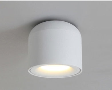 LED wall mounted downlight ceiling cob Nordic spotlights living room Corridor Home Round Scandinavian Spotlight Villa COB lamp
