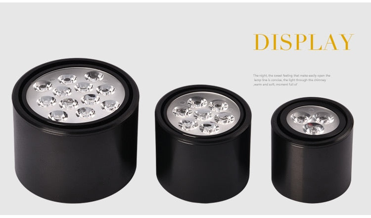 Dimmable 1pcs 6W 10W 14W 18W 24W led spot downlight High Power LED Ceiling Spot Light Kitchen Bathroom LED Downlights AC85-265V