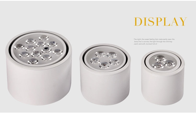 Dimmable 1pcs 6W 10W 14W 18W 24W led spot downlight High Power LED Ceiling Spot Light Kitchen Bathroom LED Downlights AC85-265V