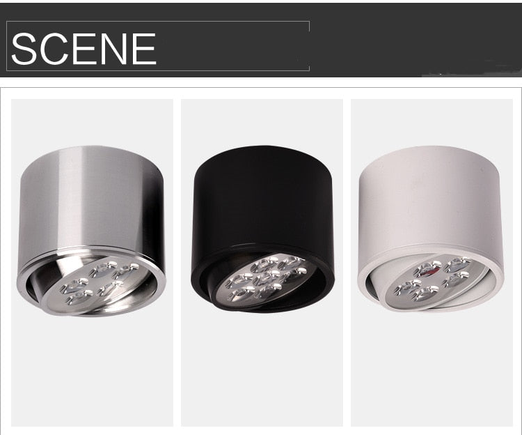 Dimmable 1pcs 6W 10W 14W 18W 24W led spot downlight High Power LED Ceiling Spot Light Kitchen Bathroom LED Downlights AC85-265V