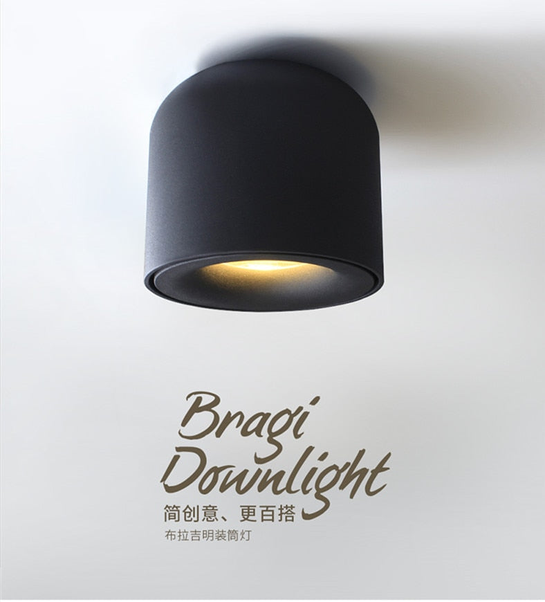 LED wall mounted downlight ceiling cob Nordic spotlights living room Corridor Home Round Scandinavian Spotlight Villa COB lamp