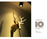 LED wall mounted downlight ceiling cob Nordic spotlights living room Corridor Home Round Scandinavian Spotlight Villa COB lamp