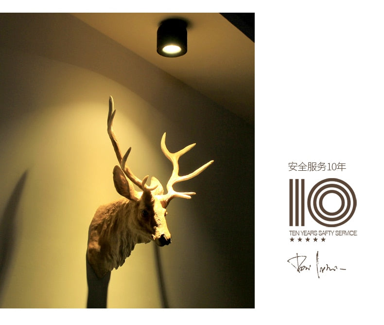 LED wall mounted downlight ceiling cob Nordic spotlights living room Corridor Home Round Scandinavian Spotlight Villa COB lamp