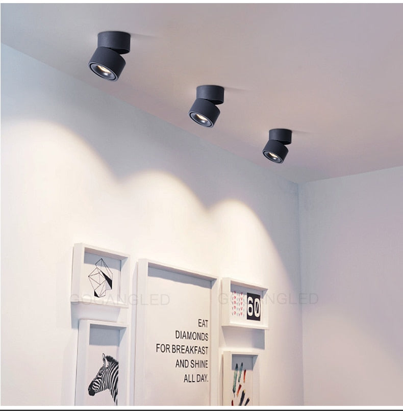 DIMMABLE Surface Mounted LED Panel Light Bulb Round COB 9w 12w 15w LED Ceiling lamp Lights LED Downlight AC110v-220V