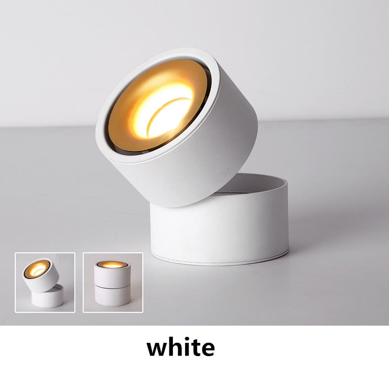 DIMMABLE Surface Mounted LED Panel Light Bulb Round COB 9w 12w 15w LED Ceiling lamp Lights LED Downlight AC110v-220V