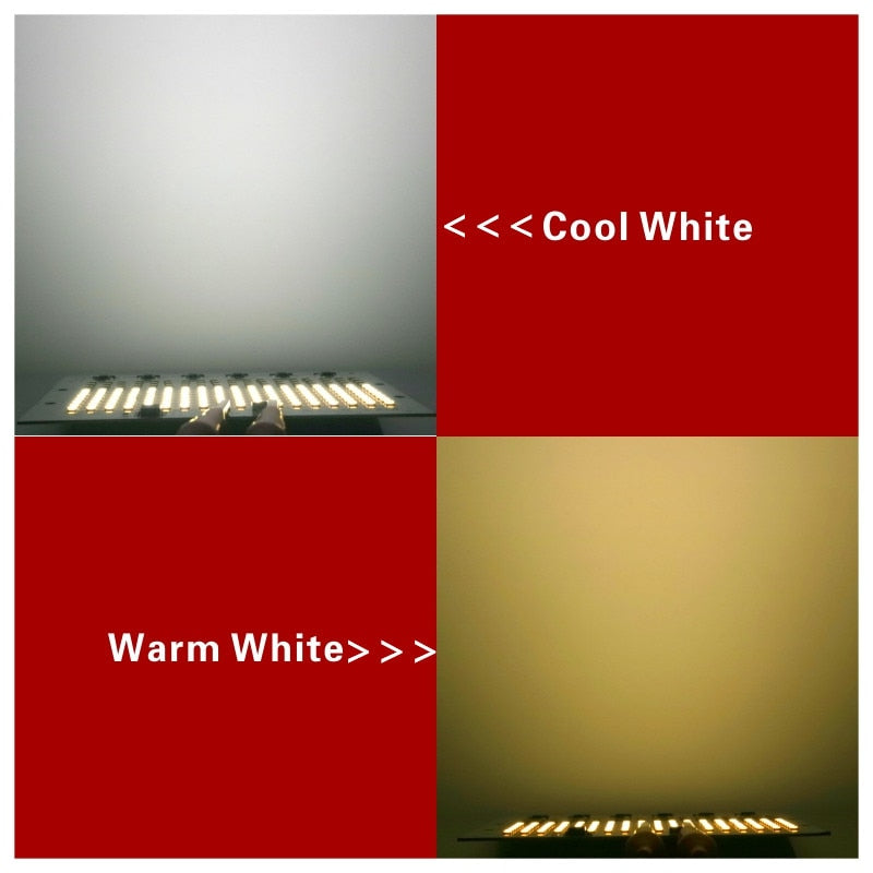 SMD 2835 LED Chip 100W 50W 30W 20W 10W Flood Light Beads AC 220V-240V Led Floodlight Lamp DIY For Outdoor Lighting Spotlight