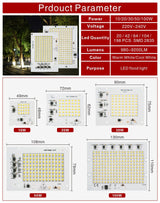SMD 2835 LED Chip 100W 50W 30W 20W 10W Flood Light Beads AC 220V-240V Led Floodlight Lamp DIY For Outdoor Lighting Spotlight