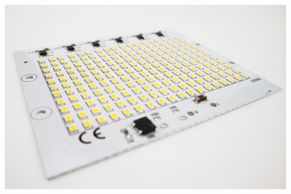 SMD 2835 LED Chip 100W 50W 30W 20W 10W Flood Light Beads AC 220V-240V Led Floodlight Lamp DIY For Outdoor Lighting Spotlight