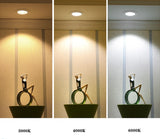 Super Bright Recessed LED Dimmable Downlight COB 3W 5W 7W 9W 12W 15W  LED Ceiling Spot Light LED Ceiling Lamp AC 110V 220V