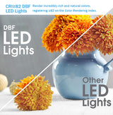 DBF Round Recessed LED COB Downlight Dimmable 6W 9W 12W 15W LED Ceiling Spot Light AC85-265V 3000K/4000K/6000K Indoor Lighting