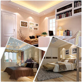 DBF High Bright COB Ceiling Spot Lamp Dimmable 5W 7W 10W 12W LED Recessed Downlight with AC 110V/220V LED Driver for Home Decor