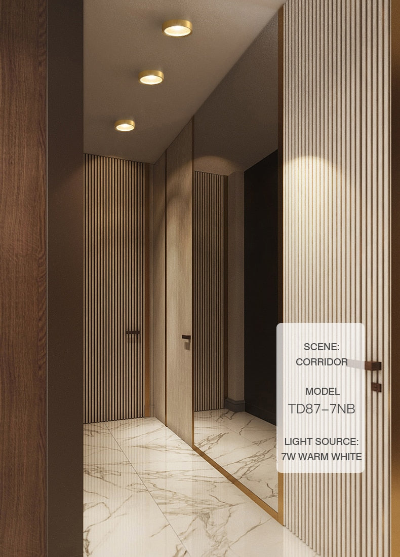MOONSHADOW Full Copper Led Downlights Ultra-thin Surface Mounted Downlight Nordic Ceiling Porch Corridor Aisle Light 220V