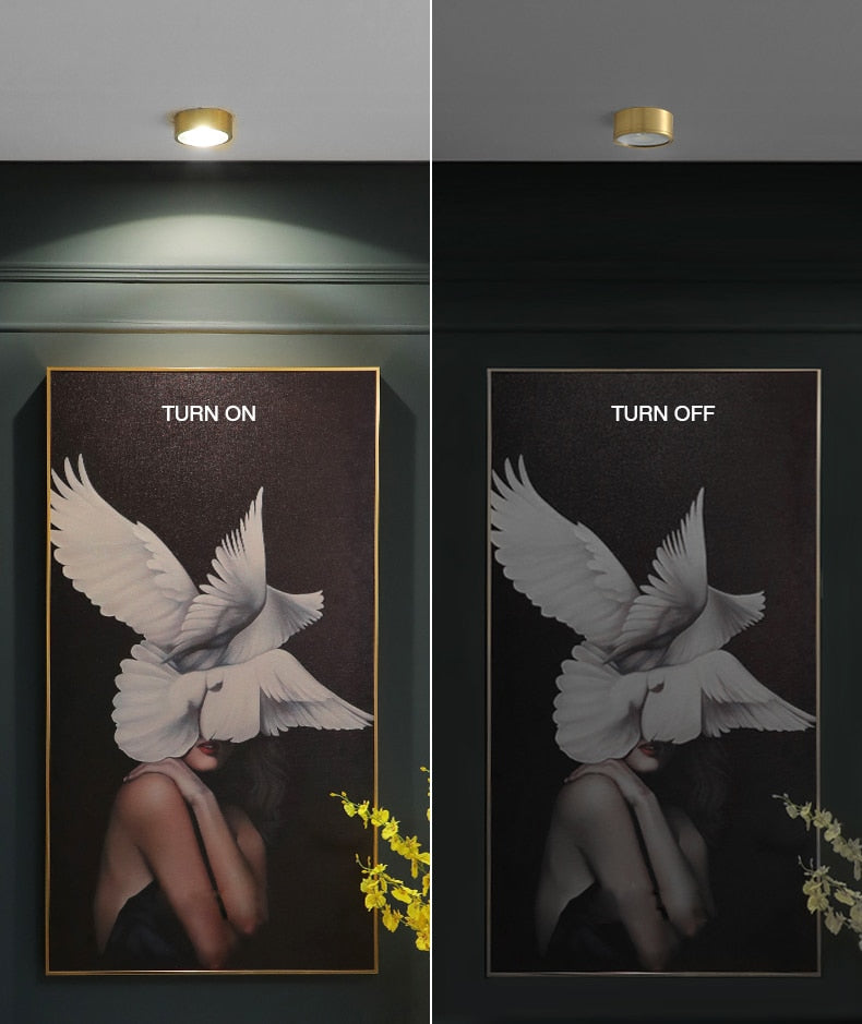 MOONSHADOW Full Copper Led Downlights Ultra-thin Surface Mounted Downlight Nordic Ceiling Porch Corridor Aisle Light 220V