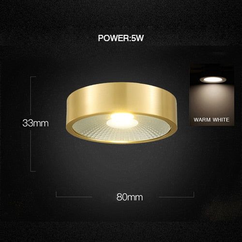 MOONSHADOW Full Copper Led Downlights Ultra-thin Surface Mounted Downlight Nordic Ceiling Porch Corridor Aisle Light 220V
