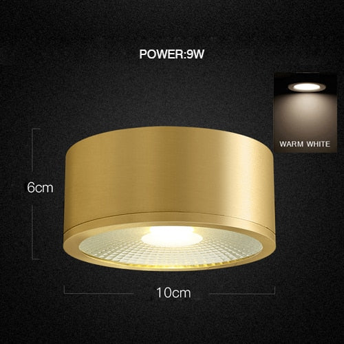 MOONSHADOW Full Copper Led Downlights Ultra-thin Surface Mounted Downlight Nordic Ceiling Porch Corridor Aisle Light 220V