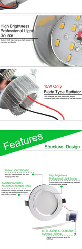 LED Downlight Silver White Frosted Surface 3w 5w 7w 9w 12w 15w AC 220v 110v Round Recessed Ceiling Down Light Indoor Lighting