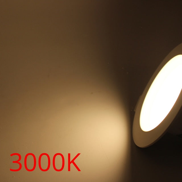 LED Downlights Recessed Ceiling Spot Lamp Wholesale price 3W 5W 7W 9W 12W 15W 18W 220V Living Room Kitchen Use