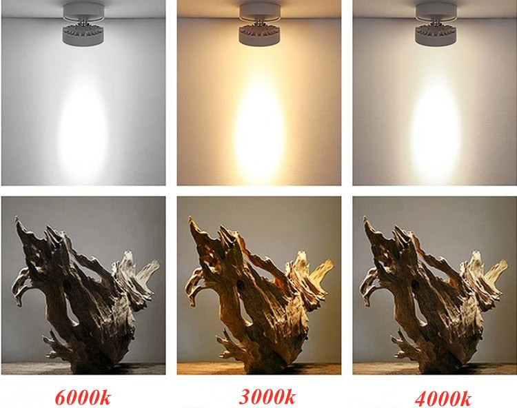 Round shape 360 Adjustable Angle Led Cob Downlight Black/White 7w 9W 12W 15w Led Ceiling Spot Light Pic Background Spotlights