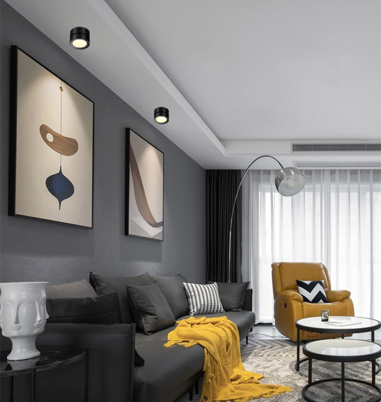 Round shape 360 Adjustable Angle Led Cob Downlight Black/White 7w 9W 12W 15w Led Ceiling Spot Light Pic Background Spotlights