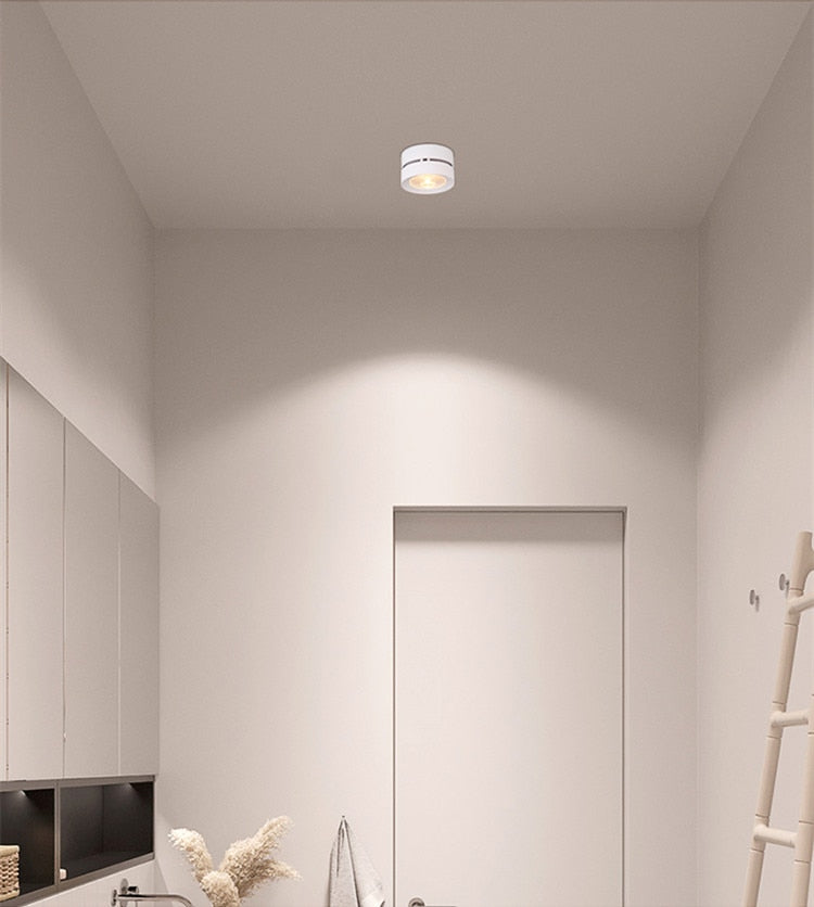 Round shape 360 Adjustable Angle Led Cob Downlight Black/White 7w 9W 12W 15w Led Ceiling Spot Light Pic Background Spotlights