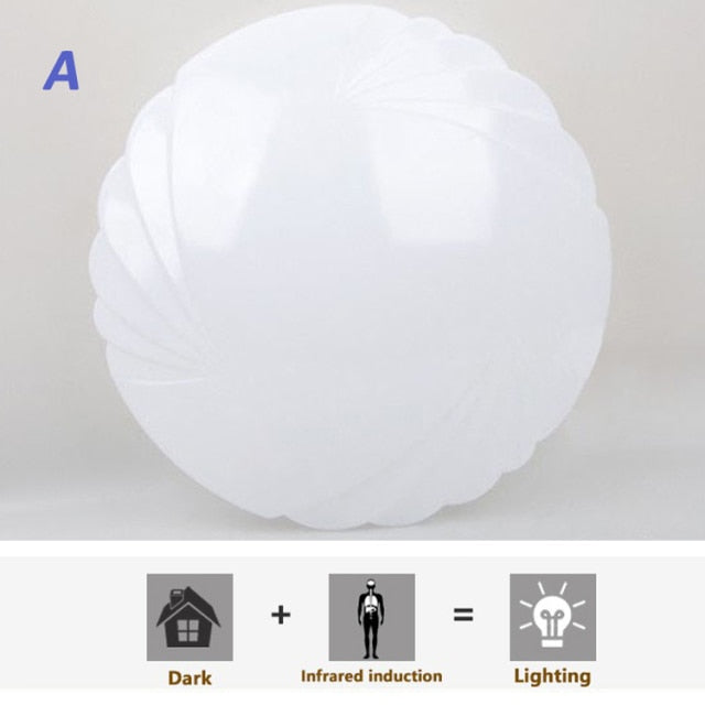 Human radar induction light Downlight 18W/24W  5730 SMD 220V garage corridor stairways