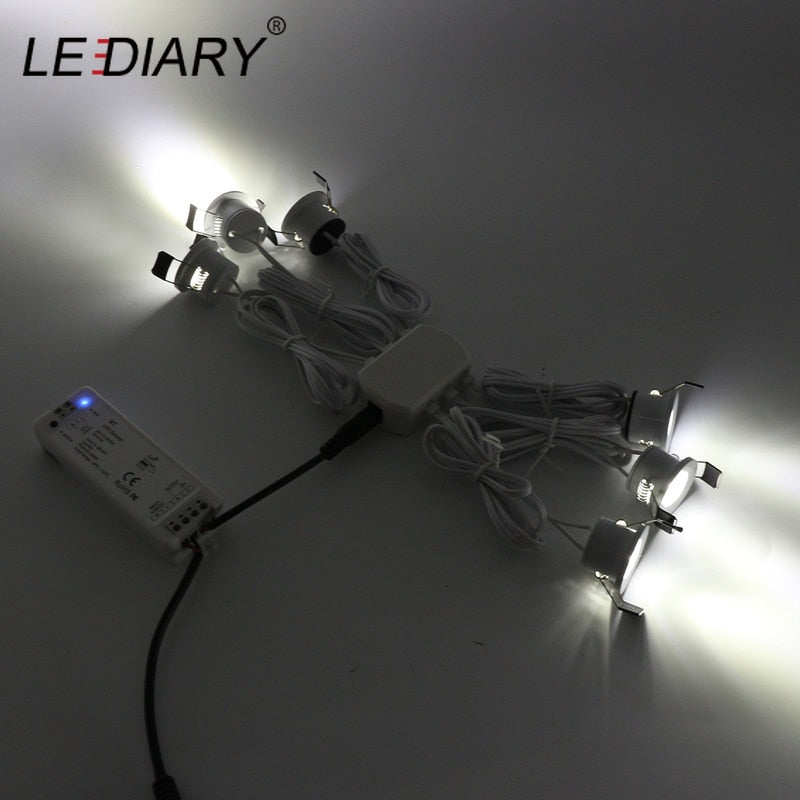 LEDIARY 12V Mini Spot Led Downlight Dimmable 24 Lamps Four Control Memory Remote Can Be Set Driver 6/12 Lamps Single Controller