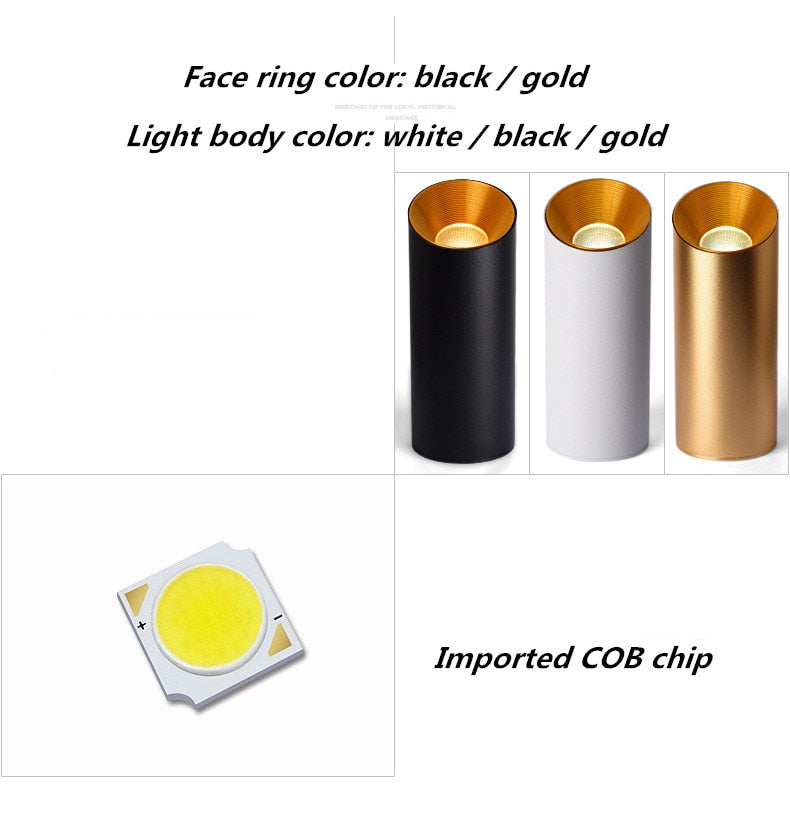 Surface Mounted Cylindrical LED COB Downlight Gold Reflector 7W 10W 12W 15W LED Ceiling Bulbs Lamp Spot Light LED Downlight