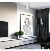 Surface Mounted Cylindrical LED COB Downlight Gold Reflector 7W 10W 12W 15W LED Ceiling Bulbs Lamp Spot Light LED Downlight