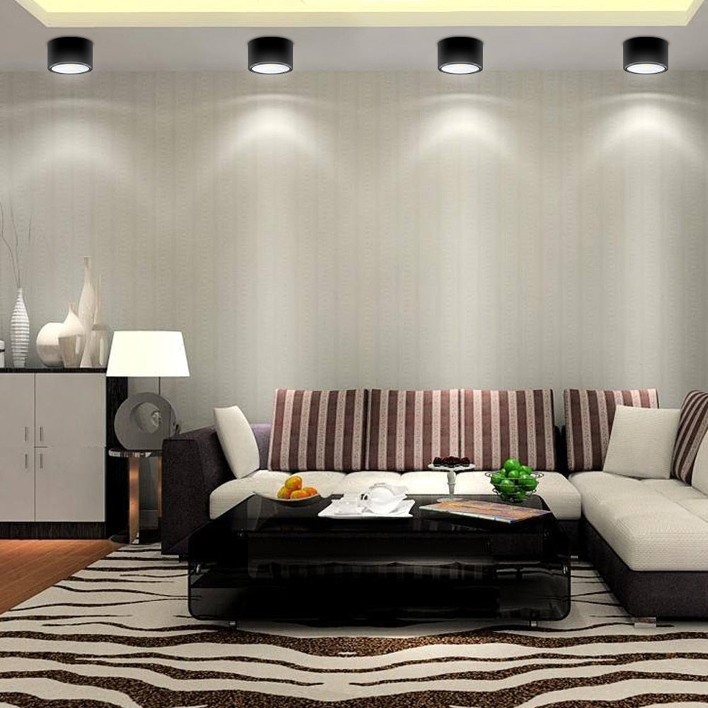 DBF Ultra-Thin LED Surface Mounted Downlight High Bright Epistar COB Dimmable 3W 5W 7W 10W Round Ceiling Spot Lamp AC 110V/220V